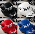 Pro Boxing gloves