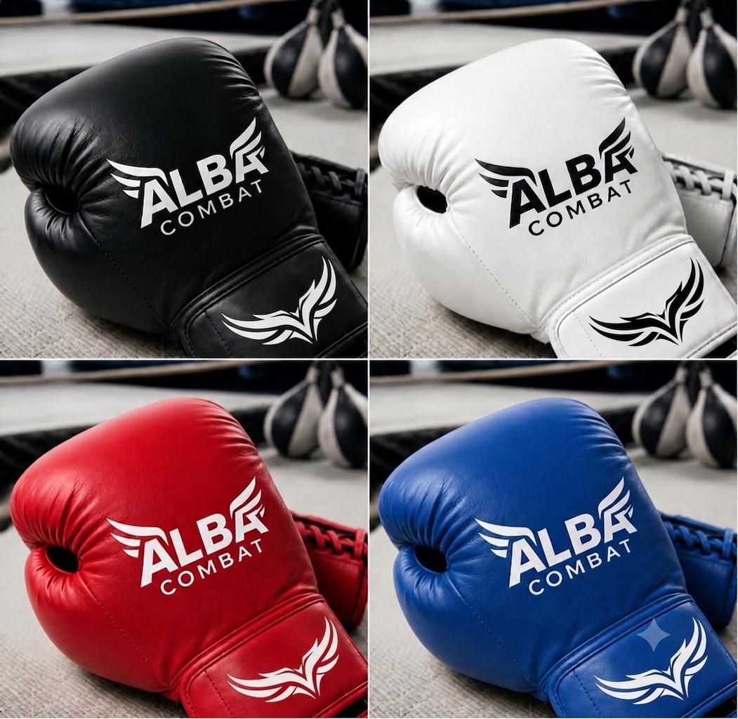 Pro Boxing gloves